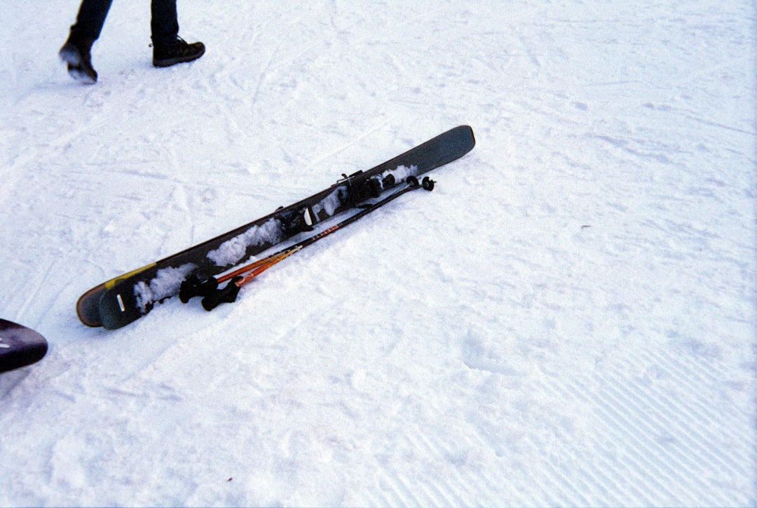 blog_1