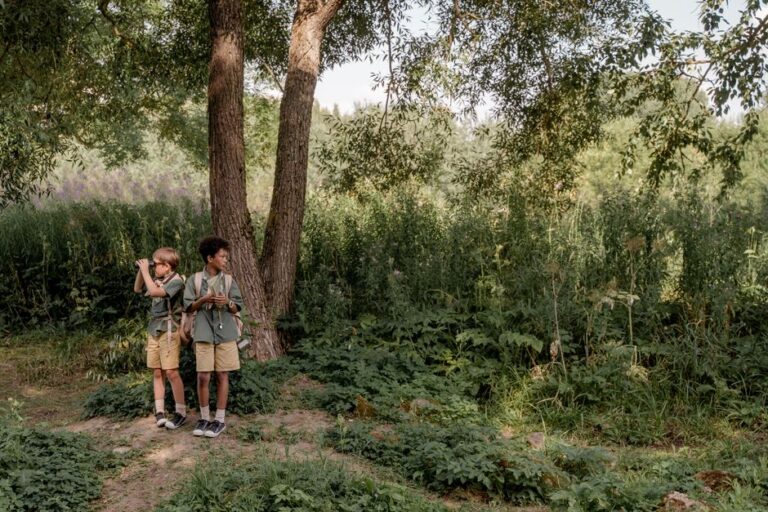 Explore the Great Outdoors with Our Premium Exploration Products