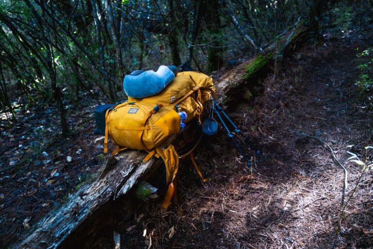 Essential Tips for Selecting Exploration Goods That Last a Lifetime